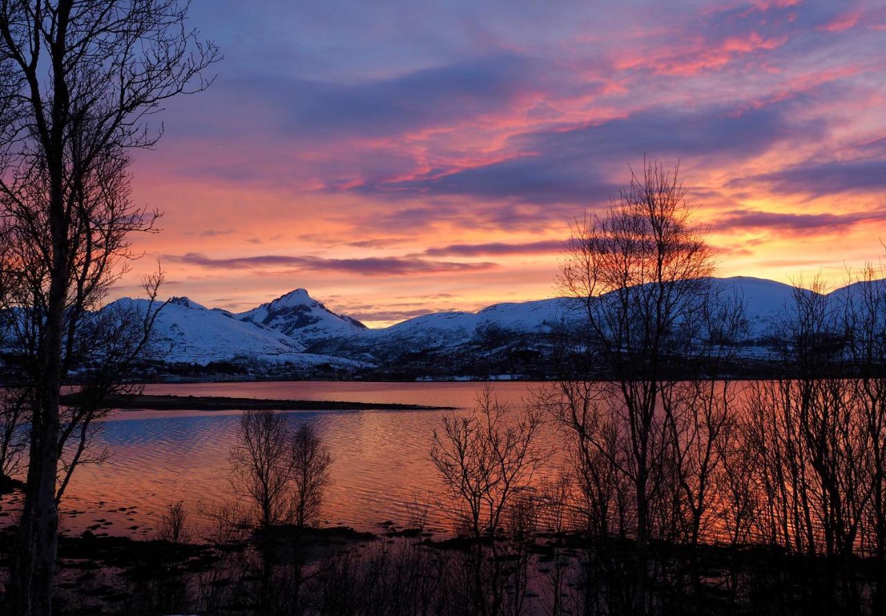 Hakoya Lodge Tromso Exterior photo