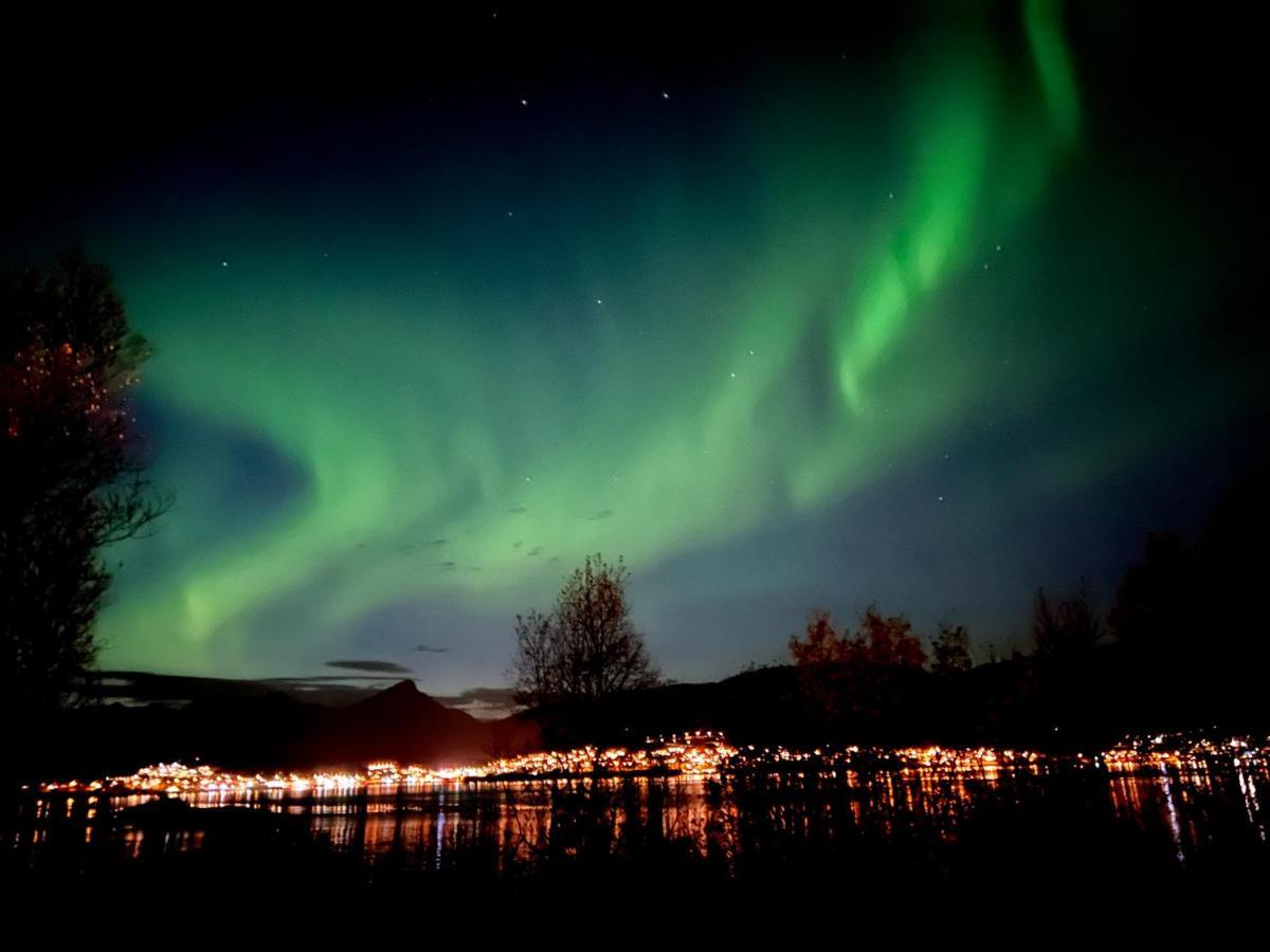 Hakoya Lodge Tromso Exterior photo
